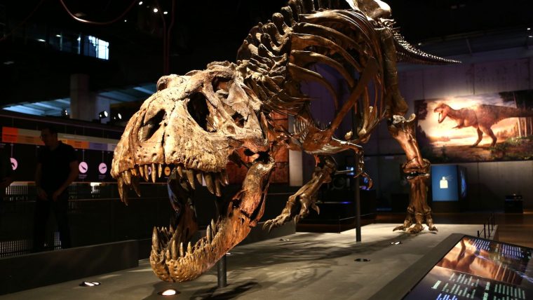 t-rex_cosmocaixa-760x428.jpg