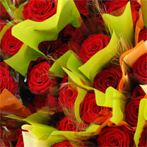 208_roses_sant_jordi